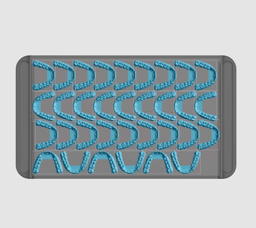 Dental tray with rows of denture models