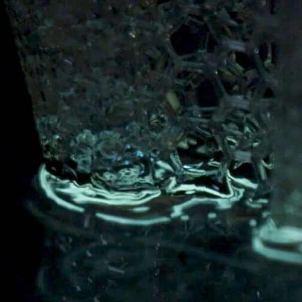 Closeup of a lattice puck