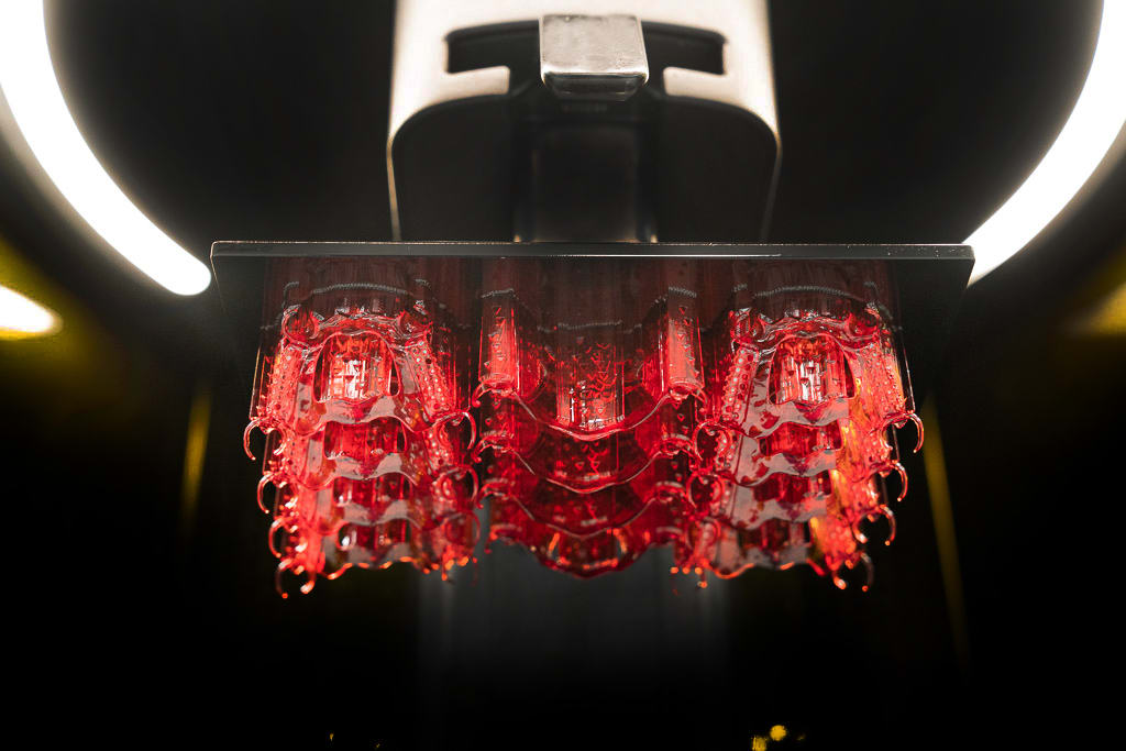 3D Printed Molded Cast for Removable Partial Denture